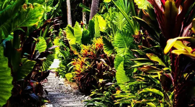 Номер Standard с балконом Hamilton Island Holiday Homes