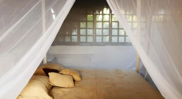 Casa Selva de Luz