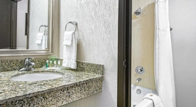 Четырёхместный номер Standard Wyndham Houston Sugarland
