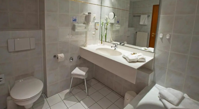 Одноместный номер Standard Alpina Lodge Hotel Oberwiesenthal