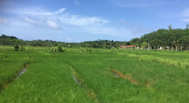 Семейный номер Standard с видом на сад Green Herbal Ayurvedic Eco-Lodge