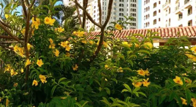 Hello Ocean View Homestay (Qionghai Boao Branch)