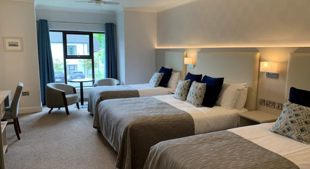 Семейный номер Standard Mill Park Hotel
