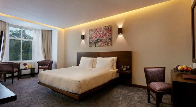 Двухместный номер Deluxe с видом на горы Galway Heights Hotel