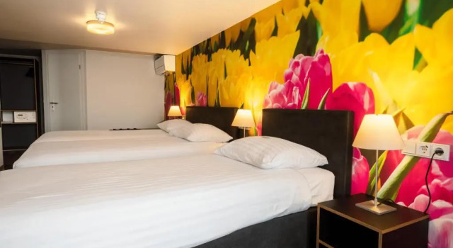 Трёхместный номер Standard Multatuli Hotel