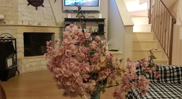 Villa Leonidas Near Athens Airport, Забронировать Вилла Виллы Спата - Артемида, Вилла