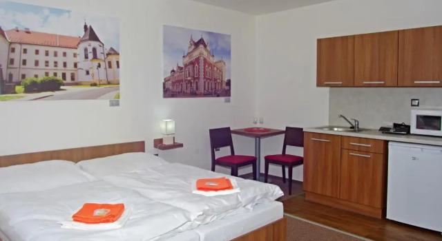 Люкс Standard Hotel Pod Radnicí