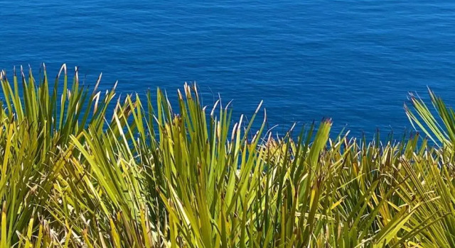 Gelsomino Sea View Suite & Spa, Book Resort Hotels in Sicily with a Pool, Swimming Pool