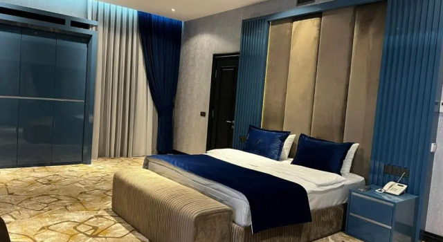 Номер Deluxe VIS Palm Hotel Ganja