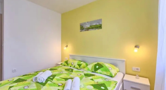 Apartment Viola ,2019