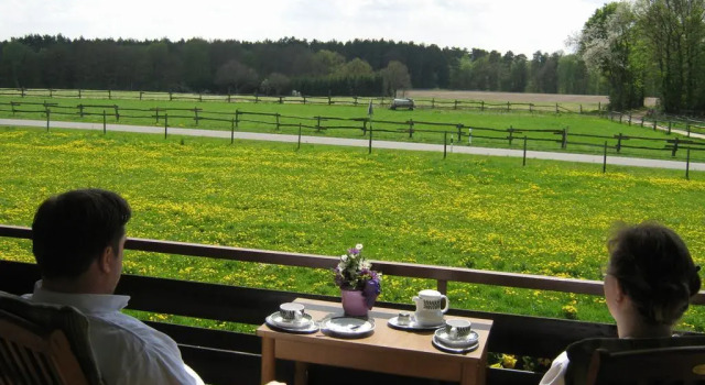 Land-gut-Hotel Landhaus Heidehof, Rezervasyon Tatil Evi Wendland villalar, Villa