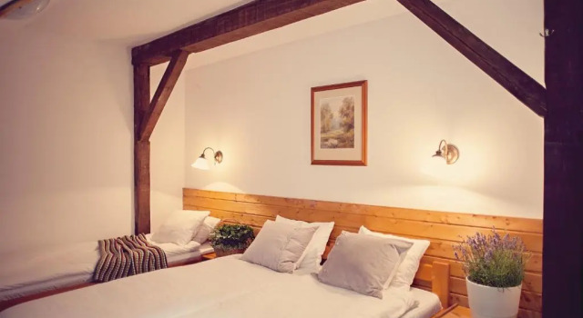 Номер Standard Hotel Górski Czarna Góra