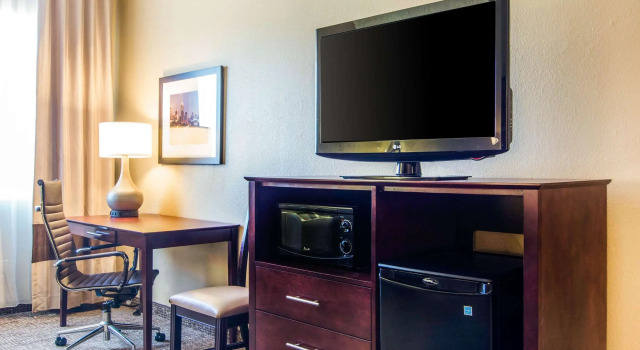 Двухместный номер Standard Comfort Inn Atlanta Downtown South