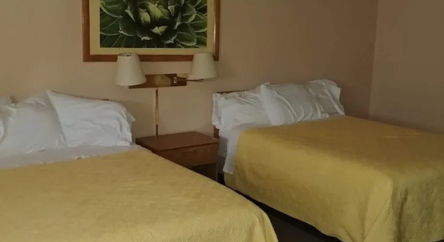 Camera doppia Standard Cactus Inn