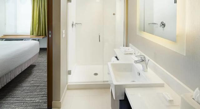 Двухместная студия SpringHill Suites by Marriott Carle Place Garden City