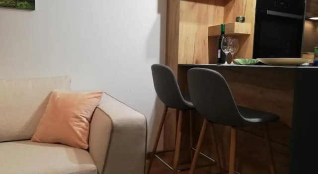Студия Mountain Residence Zlatibor Apartman Sara 2