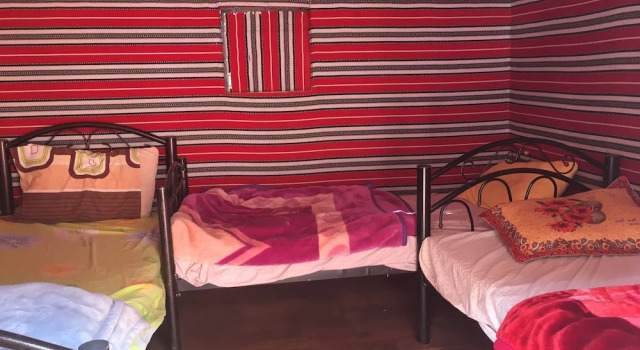 Номер Standard camp Nights stars