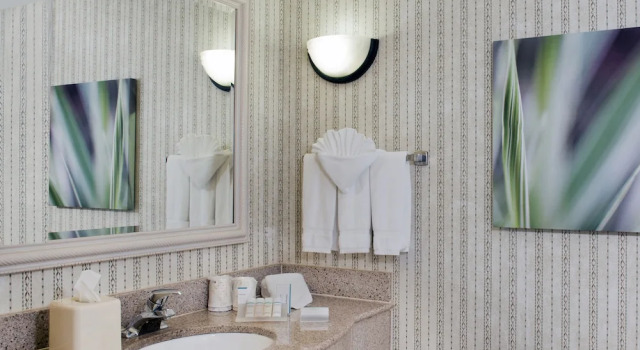 Двухместный люкс Hilton Garden Inn Charlotte Pineville