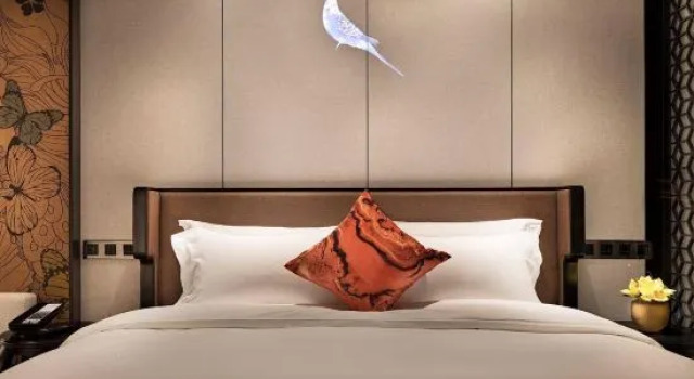 Люкс Deluxe Paco Hotel (Guangzhou Huanshi East Road)