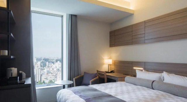 Двухместный номер Deluxe Nihon Seinenkan Hotel
