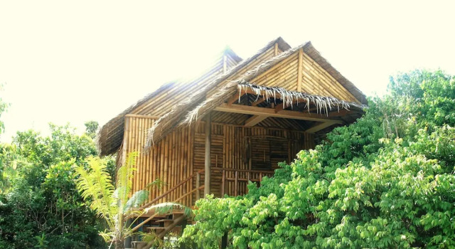 Двухместный номер Standard с балконом Tree Bar Hostel