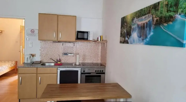 Апартаменты Standard Leopoldauer Apartment with Air Conditioning