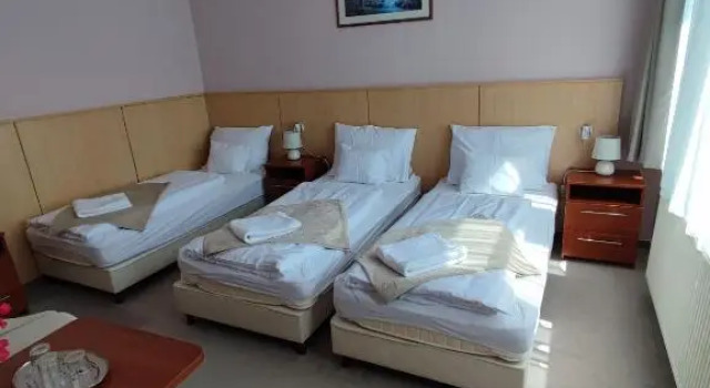 Трёхместный номер Standard D-Hotel