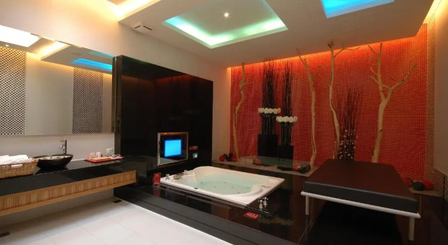 Люкс Premier Norway Forest SPA Motel