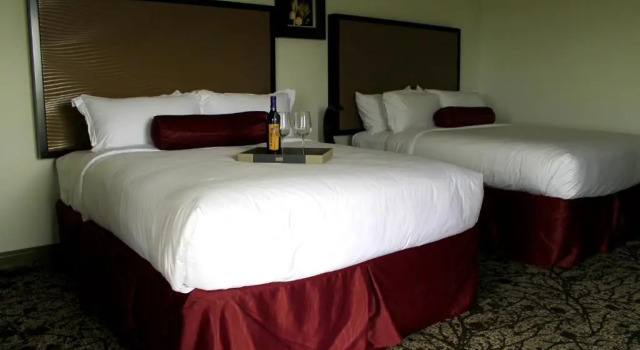 Двухместный номер Standard с балконом Regalia Hotel & Conference Center
