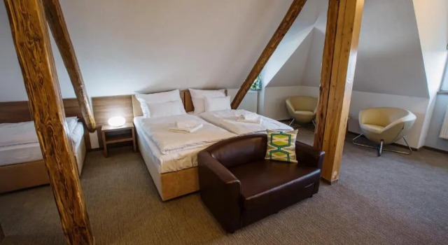 Номер Comfort Hotel Na Šustně