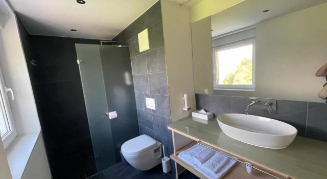 Трёхместный номер Standard Panoramahotel Sonnhalde