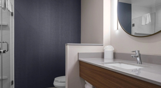 Люкс Fairfield by Marriott Inn & Suites Dallas DFW Airport North, Irving