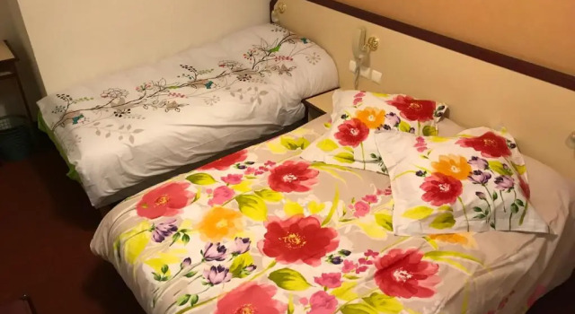 Трёхместный номер Standard Hôtel Myosotis