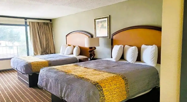 Четырёхместный номер Standard Palmetto Inn & Suites