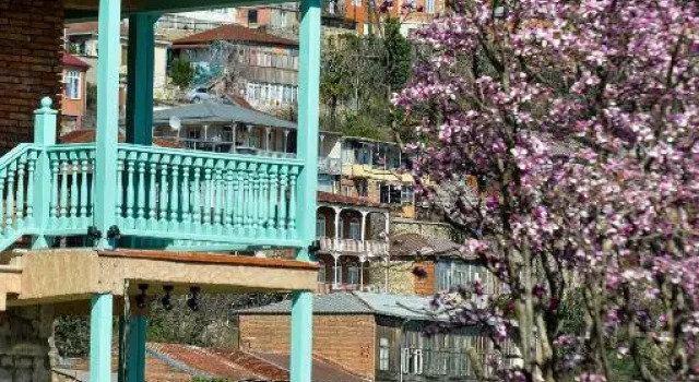 hotel Magnolia in the city centre, Book Hotel Kalak-Museumi 