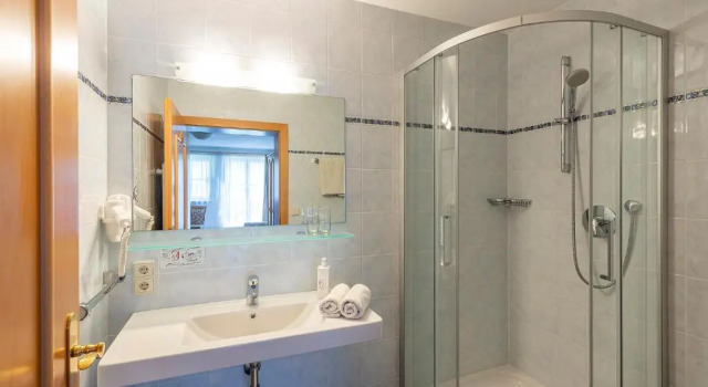 Двухместный номер Standard с балконом Alpenhof Lodge