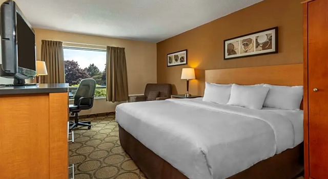 Двухместный люкс Comfort Inn