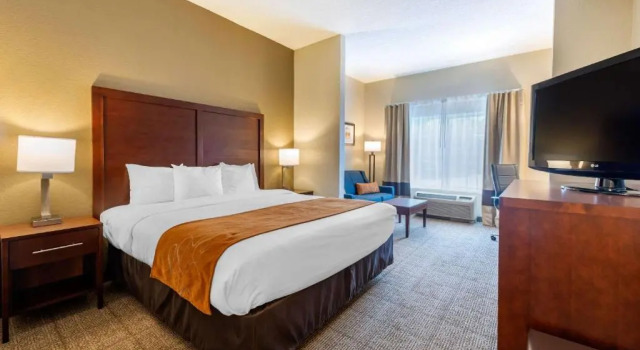 Люкс Comfort Suites Downtown