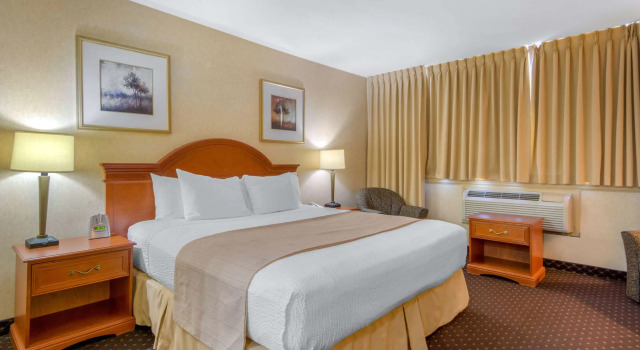 Двухместный номер Standard Clarion Hotel