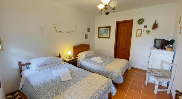 Superior dublă cameră cu vedere la grădină Hostal Sakti
