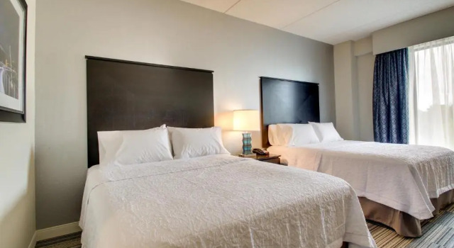 Четырёхместный люкс Hampton Inn & Suites Greenville Airport