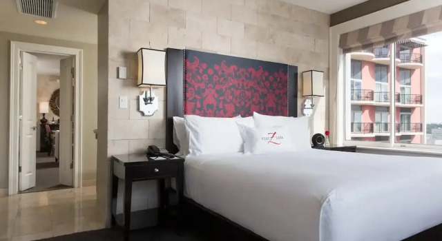 Полулюкс Hotel Zaza Houston Museum District