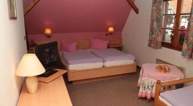 Номер Standard Hotel et Spa du Scharrach
