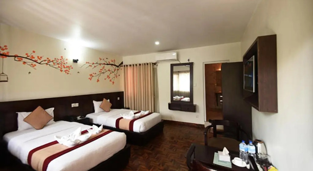 Двухместный номер Deluxe Hotel Thamel Park