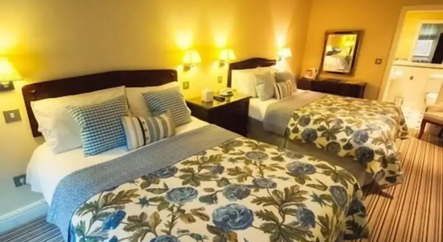Двухместный номер Deluxe Eslington Manor