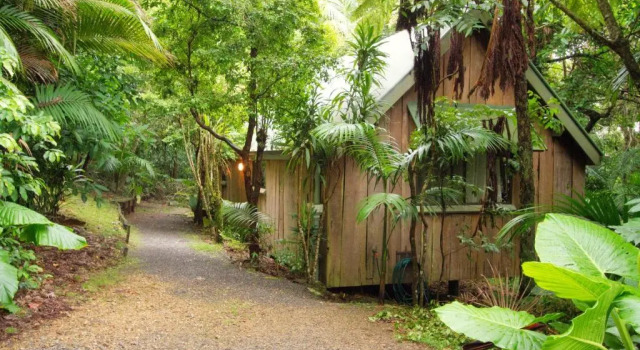 Коттедж Mt Glorious Getaways