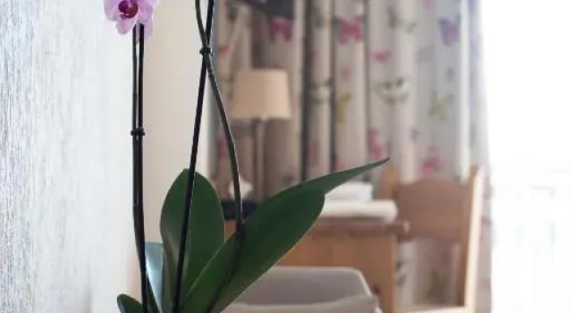 Двухместный номер Standard с балконом и с видом на озеро Hotel Lou Granva