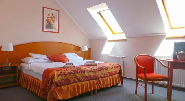 Двухместный номер Standard Hotel Forras