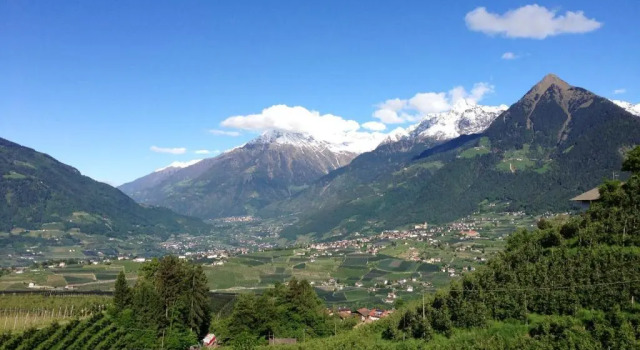Pension Chalet Andy