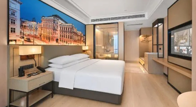 Люкс Deluxe Vienna International Hotel (Shantou High-speed Railway Station East Plaza Branch)
